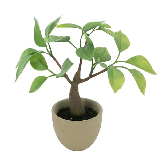 6&#x22; Ficus Tree in Brown Pot by Ashland&#xAE;